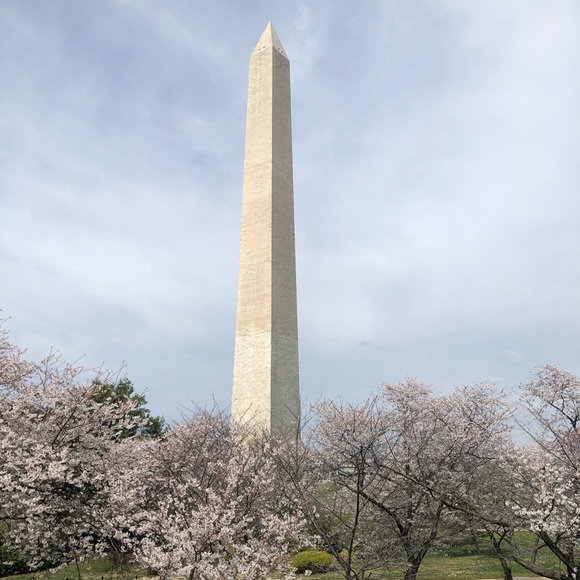 Meet your Posher, Samantha - Picture 1 of 1